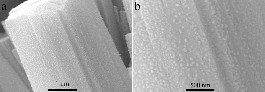 Fig. S21 SEM images MoNi/CoMoO 3 /NF after thermal oxidation.