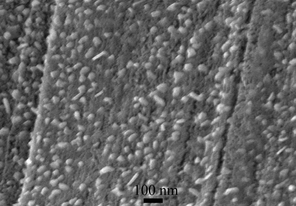 Fig. S5 SEM image of MoNi/CoMoO 3. It can be seen clearly that lots of pores are distributed on the CoMoO 3 cuboid. Fig.