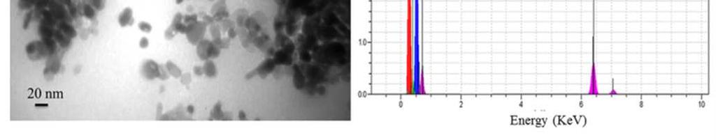 Furthermore, vibration bands of PVA and or Fe 3 O 4 nanoparticles have been verified in IR-spectrum of m-cvp beads. Fig.
