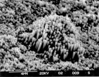 UNDERSTANDING AND MONITORING MATERIALS PROPERTIES NEW MATERIALS contain nano-micro architectured structures o NANOFIBERS: multiscale complex materials ultra insulating (.