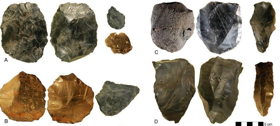 Early Human Milestones Tools: use of stone