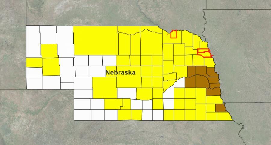 Declaration Approved FEMA-4420-DR-NE Major Disaster Declaration was approved on March 21, 2019 for the State of Nebraska For a severe winter storm, straight-line winds, and flooding, which occurred