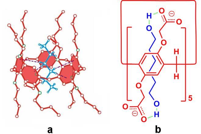 7. Complexation of 1,6-hexanediol and 5 Fig. S6. a) Crystal structure of DBpillar[5]arene n hexane. S3 b) Possible complexation mode of 1,6-hexanediol and 5.