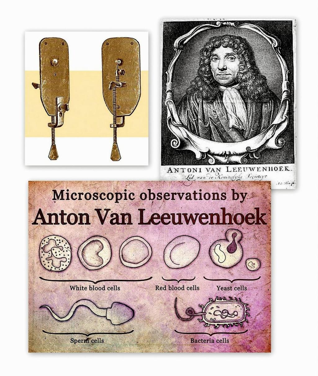 B. Anton van Leeuwenhoek (1673)