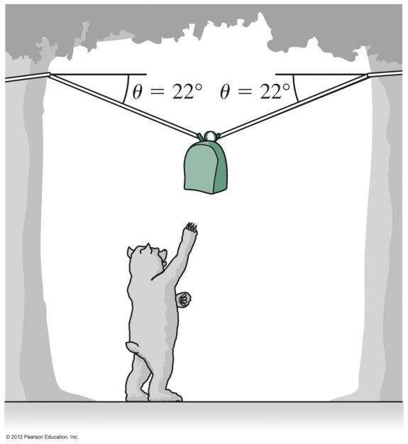 Example 5.2 To protect her 17 kg pack from bears, a camper hangs it from ropes between two trees, as shown.