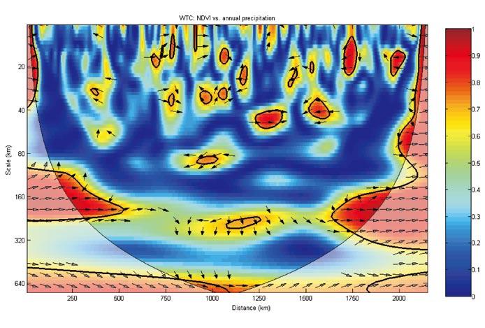 LI Shuangcheng, et al.: Scale-dependent Spatial Relationships between NDVI and Abiotic Factors 365 Fig. 3 Morlet squared wavelet coherence between NDVI and precipitation along the 32.