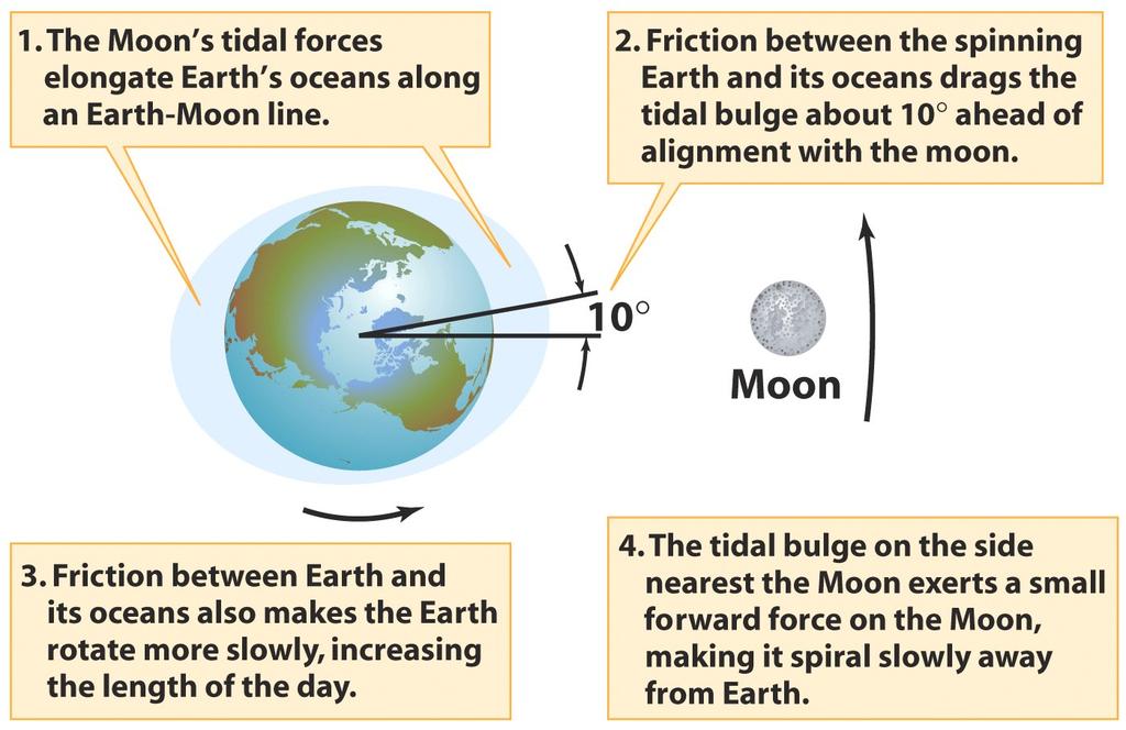 partially molten core when surface solidified The present No appreciable magnetic field Implies an almost completely solidified core Moonquakes Only ~ 3,000 per year Earth has ~ 1.