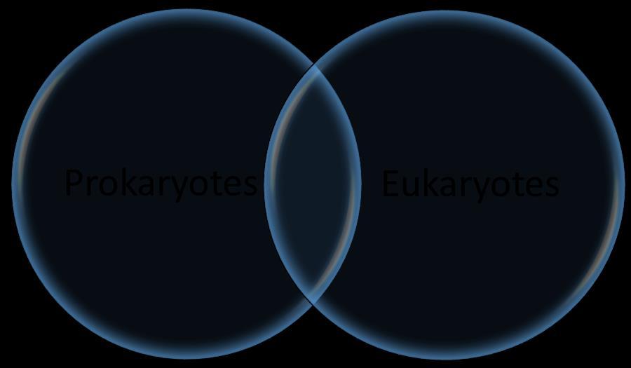 Comparison of Prokaryotes and Eukaryotes Place the following