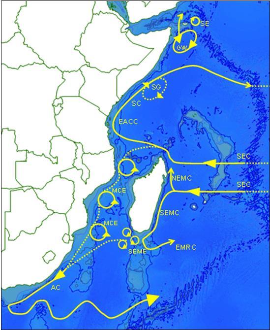 A schematic of the nearsurface ocean currents of the western Indian Ocean during the Southwest monsoon (July/Aug).