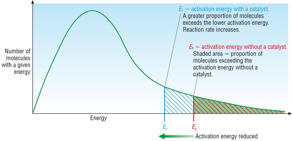 moving faster These 2 effects give a large increasing the rate of reaction The effect of a catalyst on reaction rate Maxwell Boltzmann distribution Explanation: Catalysts provide an alternative route