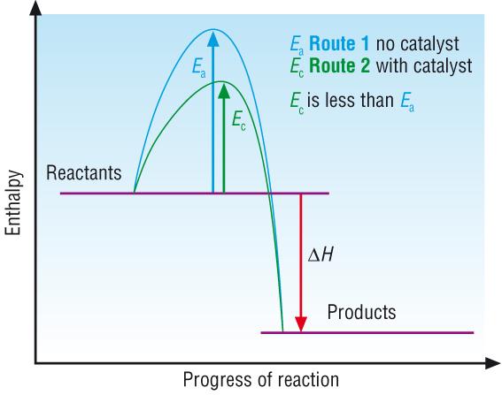 The effect of a catalyst on reaction rate Enthalpy profile diagram We know that reverse reactions have the mirror image enthalpy profile A catalyst lowers the activation energy for the