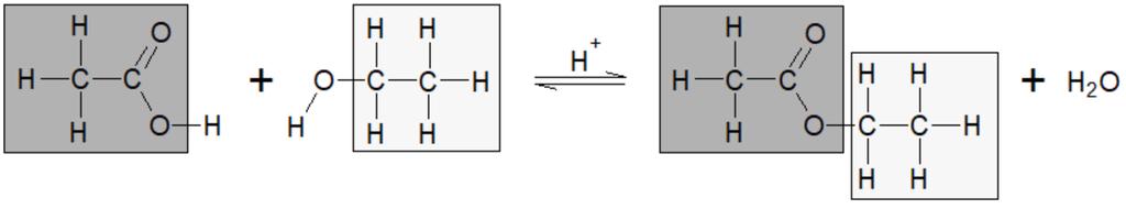 Step 4: Termination When most of the reactants have been used up during Steps 2 and 3, there are only a small number of Cl radicals and methyl radicals left over.