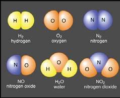 MOLECULES OF LIFE In-organic compounds Non-carbon-based molecules Organic compounds Carbon-based molecules ORGANIC CHEMISTRY Organic chemistry- the study of all