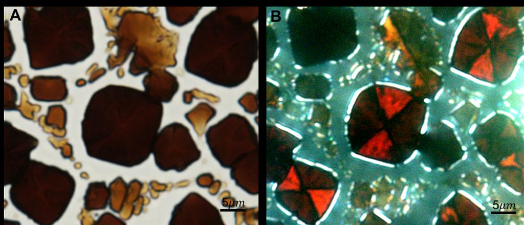 igure S3 Polarized light microscopy. (A) Bright field image of faceted perovskite domains. (B) Cross polarized image of the same domains as in A, highlighting different crystalline orientations.