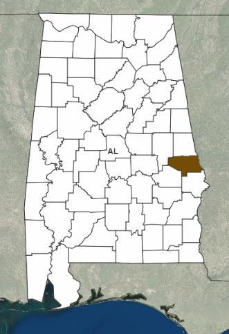 Declaration Request Alabama On March 4, 2019, the Governor requested an expedited Major Disaster Declaration for the State of Alabama For severe storms, straight