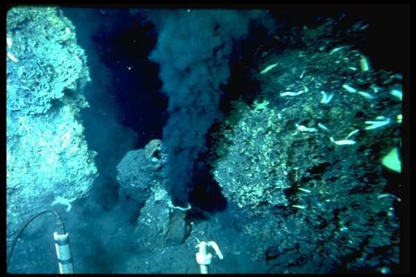 Black smoker at a hydrothermal vent, Juan de Fuca