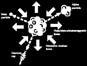 Unstable nuclei release radiation which means they decay) Radioisotopes: