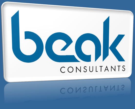 Beak Consultants GmbH Your Partner for Mineral