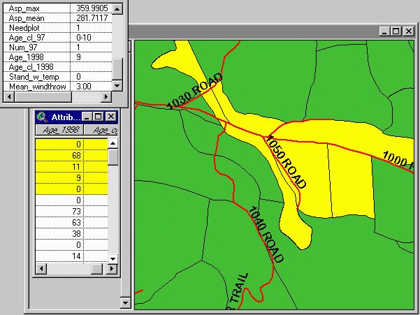 The following graphic shows a series of selected stands near the 1050 Road. The stands show up on the map in the selection color of yellow.
