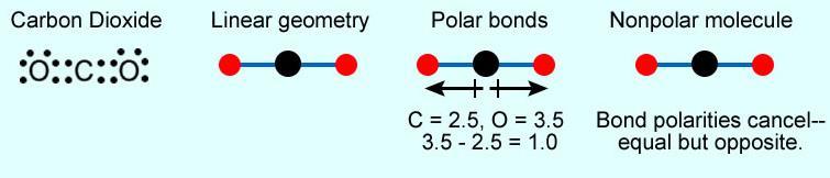 Carbon dioxide is a Polar Covalent Molecule but it behaves like a Pure Covalent Molecule The situation of Carbon dioxide is unique. Carbon equally shares two electrons with each oxygen atom.