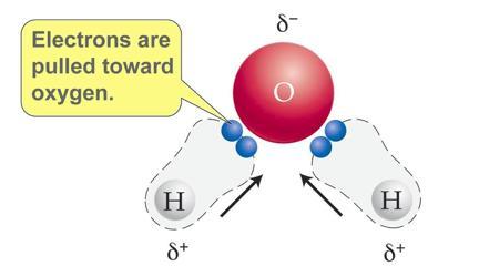 Carbon dioxide is actually a polar covalent bond because of the electronegativity difference between carbon and oxygen.