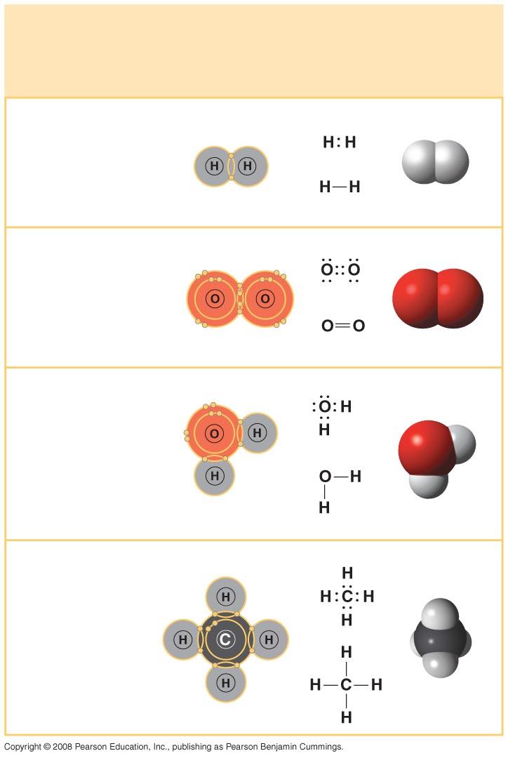 2 ) (c) Water (H 2 O) (d) Methane (CH 4 ) Covalent Bonds con>nued Covalent bonds can form between atoms of the same element or atoms of different elements