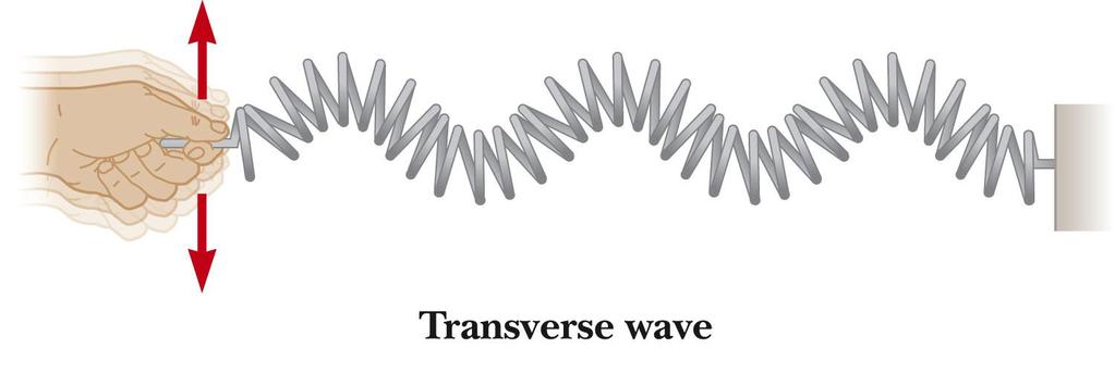 Types of Waves Transverse In a transverse wave, each element that is