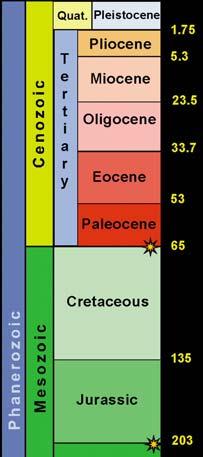 The K-T Boundary Known mass extinction event between the Cretaceous and Tertiary periods.