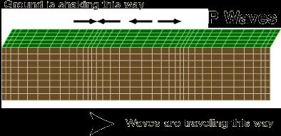 Seismic Waves: P-waves P-waves (primary waves) travel faster through the