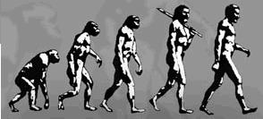 So what is Evolution?