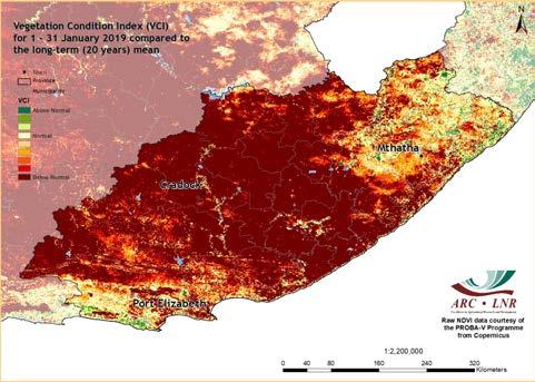 I S S U E 2 0 1 9-02 P A G E 10 Figure 16 Figure 16: The vegetation in many parts of the Eastern Cape continues to be