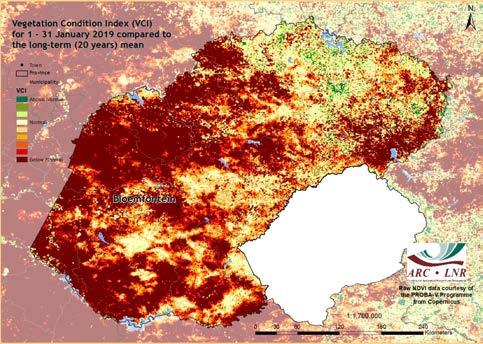 Figure 17: The month of January was marked with extremely poor vegetation conditions over much of the Free State.