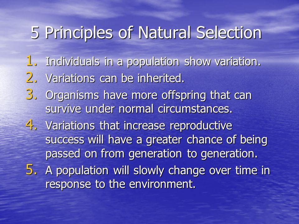 WHAT IS NATURAL SELECTION? Species evolve over time.