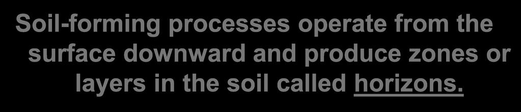 Soil-forming processes operate from the surface downward
