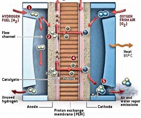 6.3 Solid Oxide Fuel Cells Fuel cell is a device which can directly convert fuel such as H 2 into electricity.