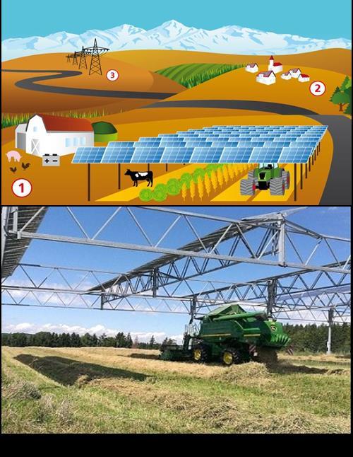 1. System types: grid connected: free field: PV for horizontal agricultural