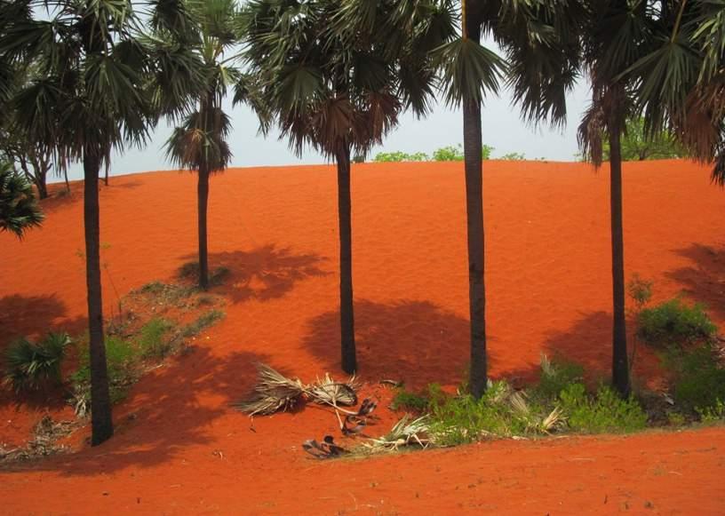 Red sediments,