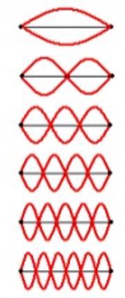 Distance from top node to bottom node 0.5m 10.0m 5.0 m 2.6m 1.0 m 4.2 m A B C D E F 8. A set of 6 standing waves with the lengths of the springs used to generate them is listed above.