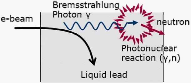 Medium-sized neutron sources High-energy bremsstrahlung photoneutron/photofission systems: