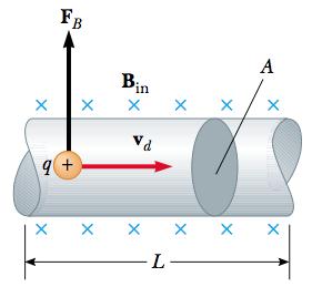 29.2 Magnetic Force Acting on a Current-Carrying Conductor Consider a straight segment of wire of length L and cross-sectional area A, carrying a current I in a uniform magnetic field B.