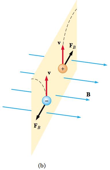The magnetic force exerted on a positive charge is in the direction opposite the direction of the magnetic force exerted on a negative charge moving in