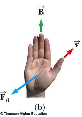 Direction of the magnetic Force: Right-Hand Rule #2 Thumb is in the direction of v Fingers are in the direction of B Palm is in the