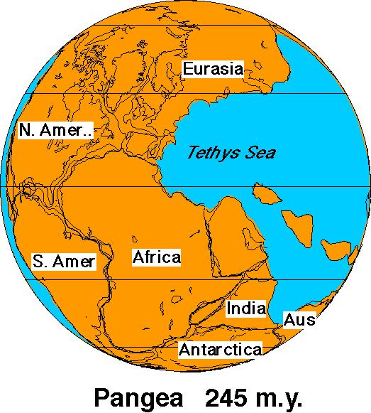Theory of Continental Drift Alfred Wegener suggested that continents had once been part of a supercontinent named Pangaea, that later broke up.
