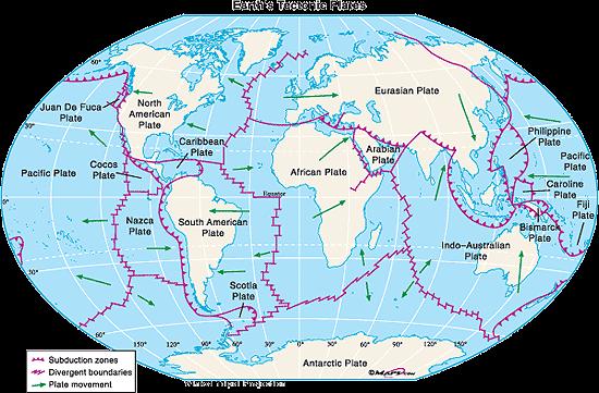 Tectonic Plates Tectonic plates can either contain both continental and oceanic