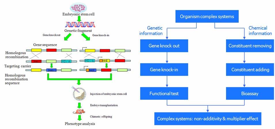 Supplementary Fig. S1 (a) Illustration of the removing and adding strategy used to examine the roles of functional genes 1-5.