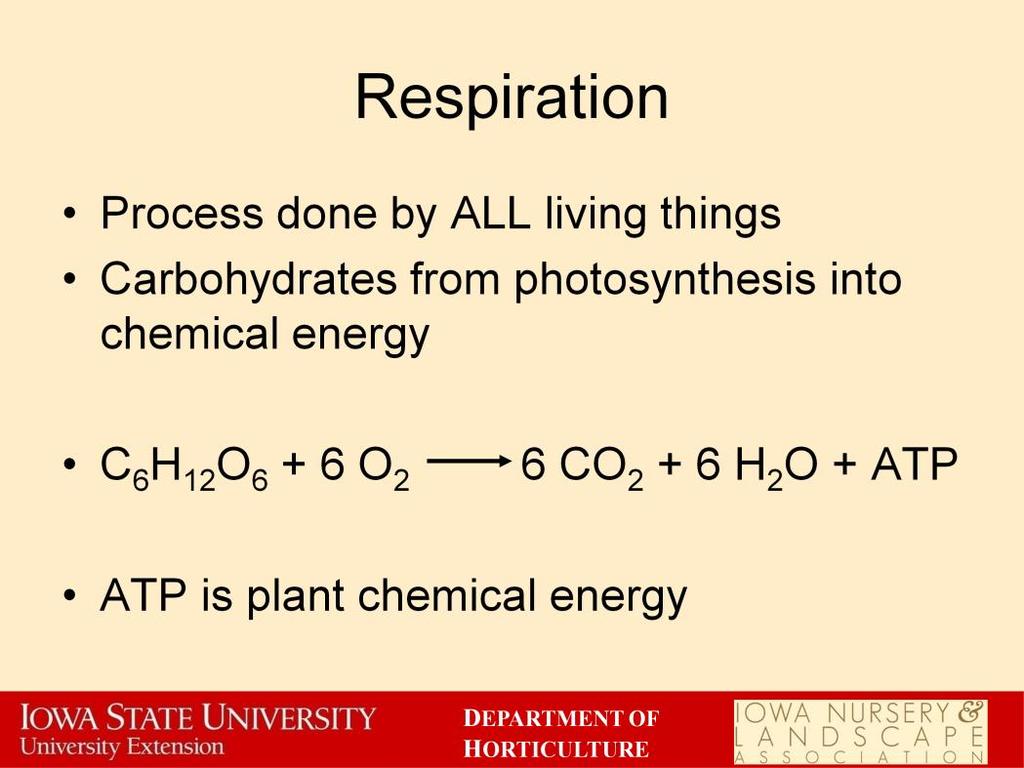 All living organisms respire. Respiration is the change of food energy into chemical energy used to produce enzymes and grow.
