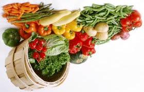 Proteins Plants use a combination of carbohydrates