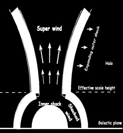 (2002) ApJ 574 Galactic winds MacLow & Ferrara (1999) courtesy Simone Recchi Effective yields of