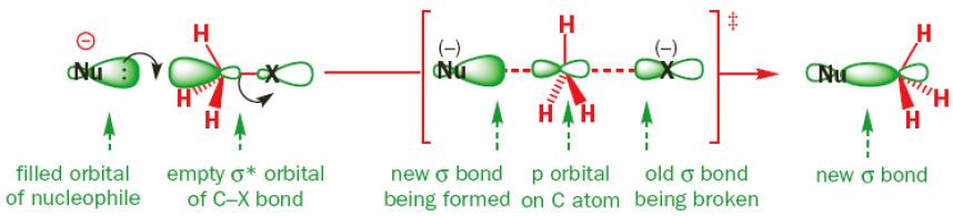 1. The nucleophile arrives (its bond to C forms) and the halogen leaves (its bond to C breaks) at the SAME TIME -The nucleophile uses its lone pair electrons to attack the alkyl halide carbon 180