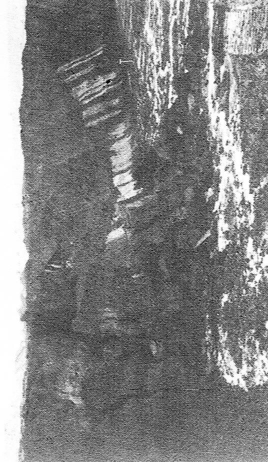 Coal Block Slippage January 1963 Image: Block